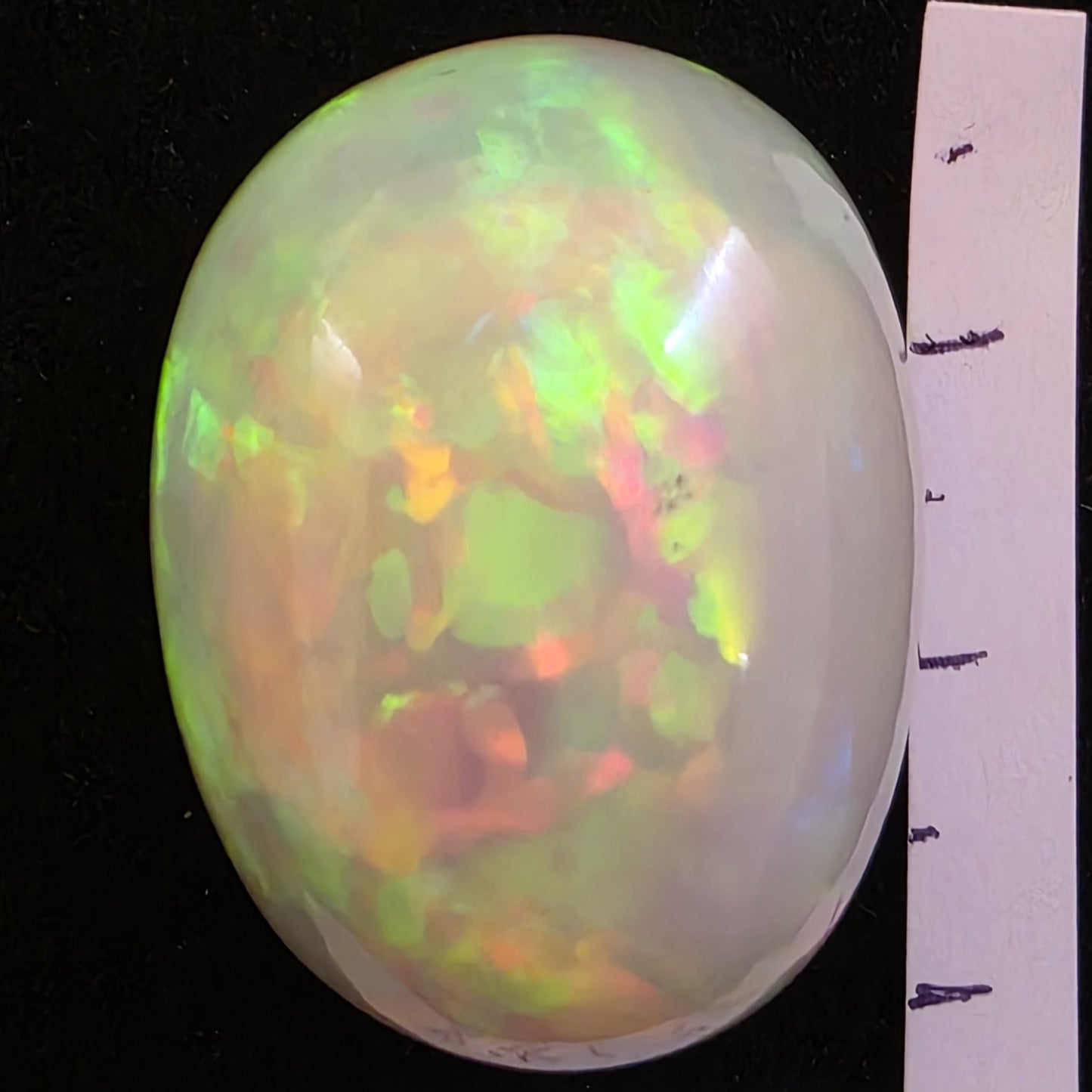 BIG stone! White Opal special Ethiopian Welo, 66.7 ct oval polished, natural