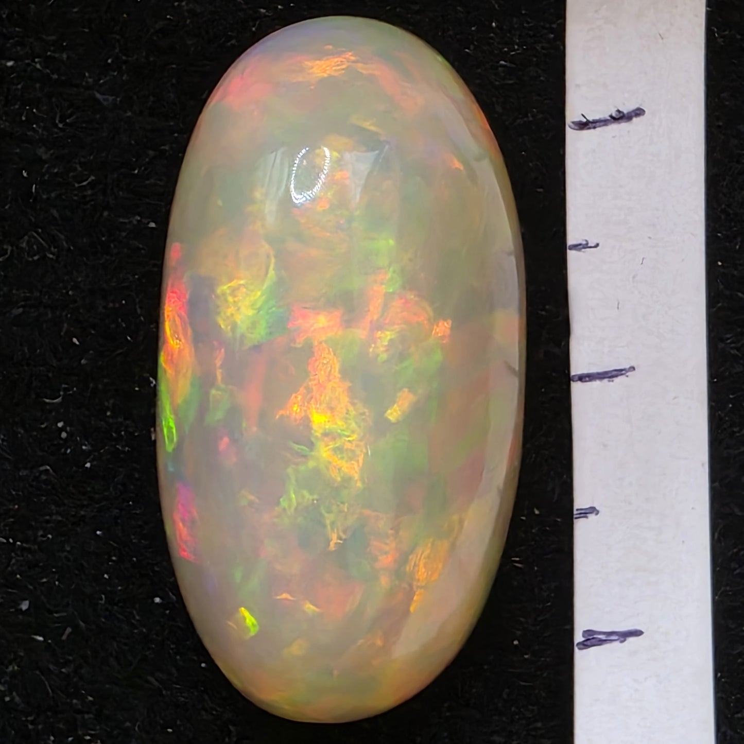 White Opal special Ethiopian Welo, 20.6 ct oval polished, natural, intense Play-of-Colour