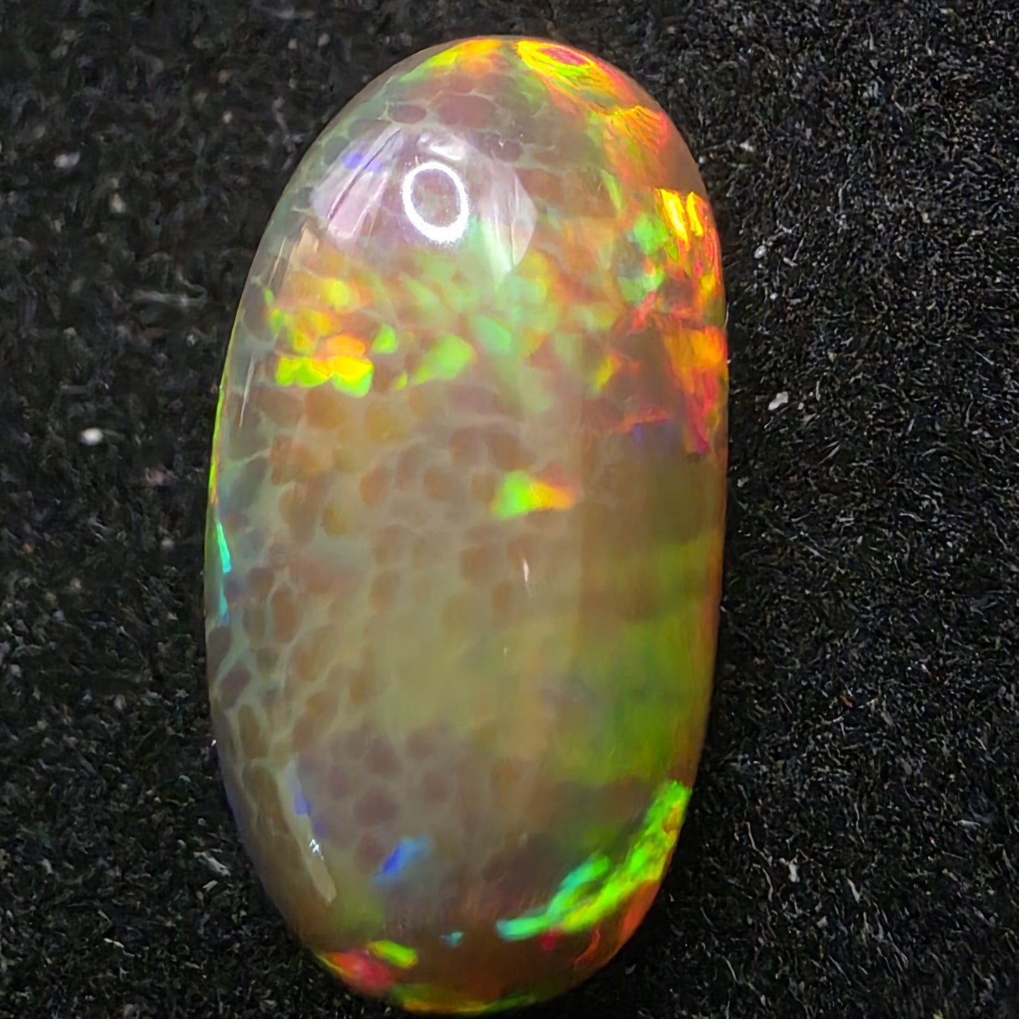 Honeycomb Black Opal special Ethiopian Welo, 5.8 ct oval polished, natural, intense Play-of-Colour