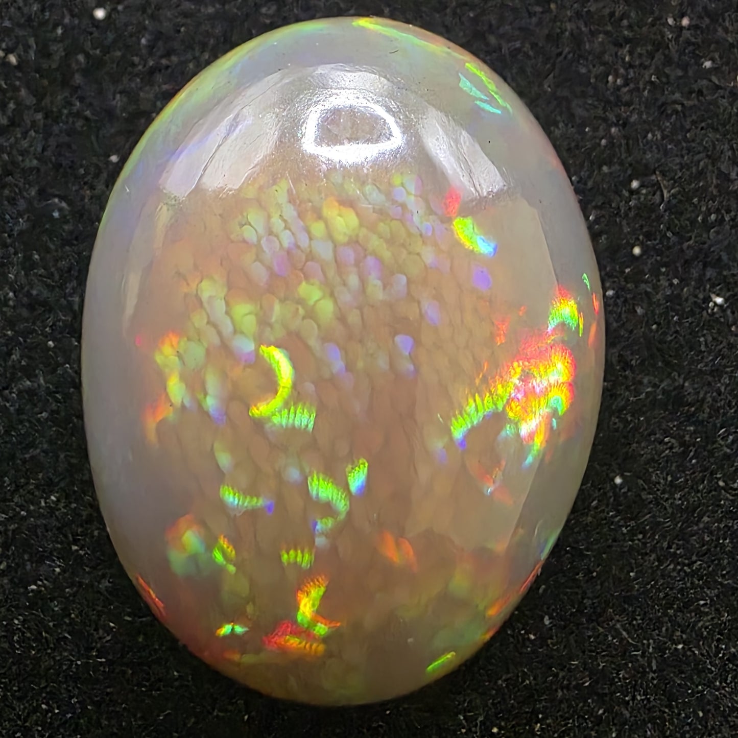 Honeycomb Black Opal special Ethiopian Welo, 21.6 ct oval polished, natural