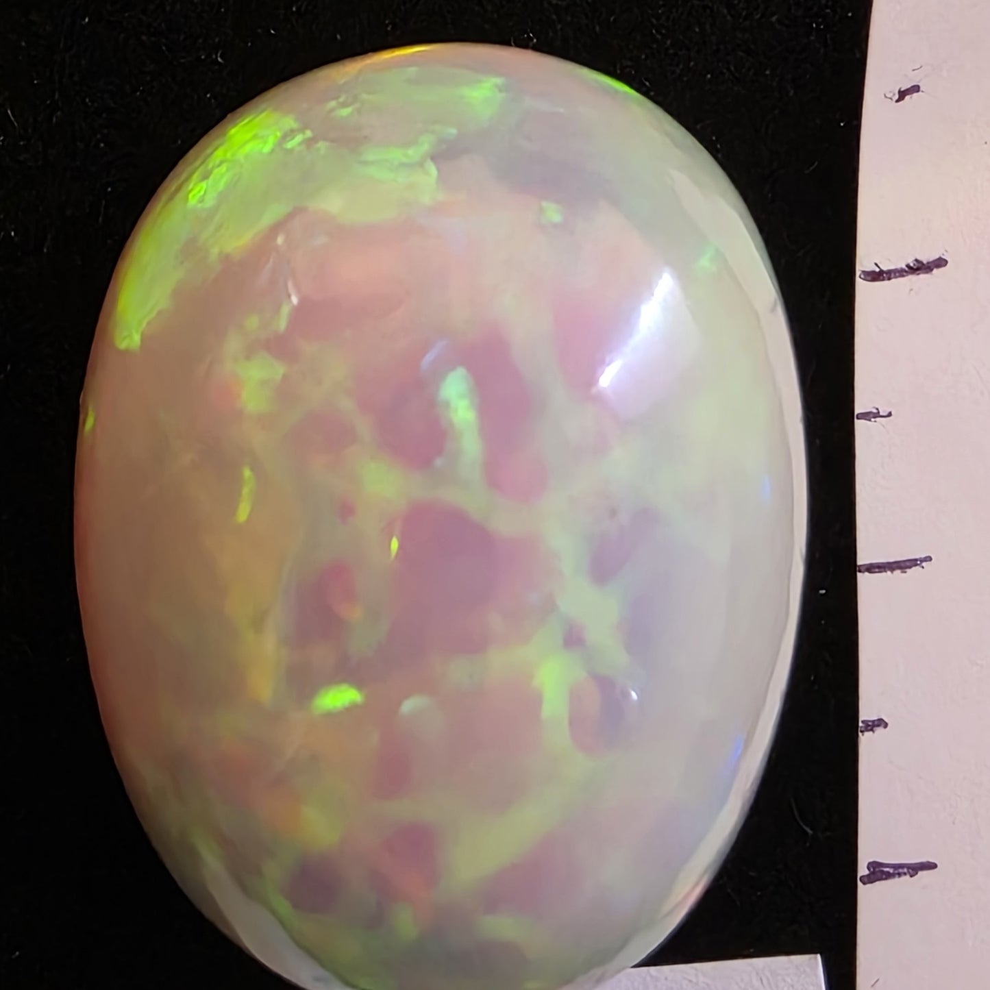 BIG stone! White Opal special Ethiopian Welo, 66.7 ct oval polished, natural