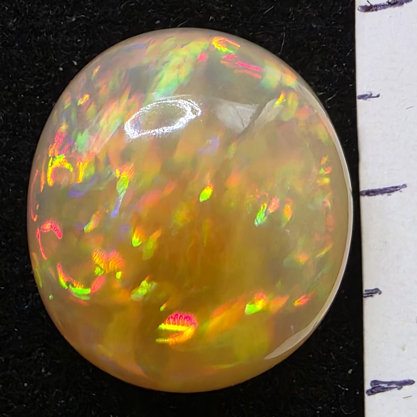 Honey Opal special Ethiopian Welo, 15 ct oval polished, natural