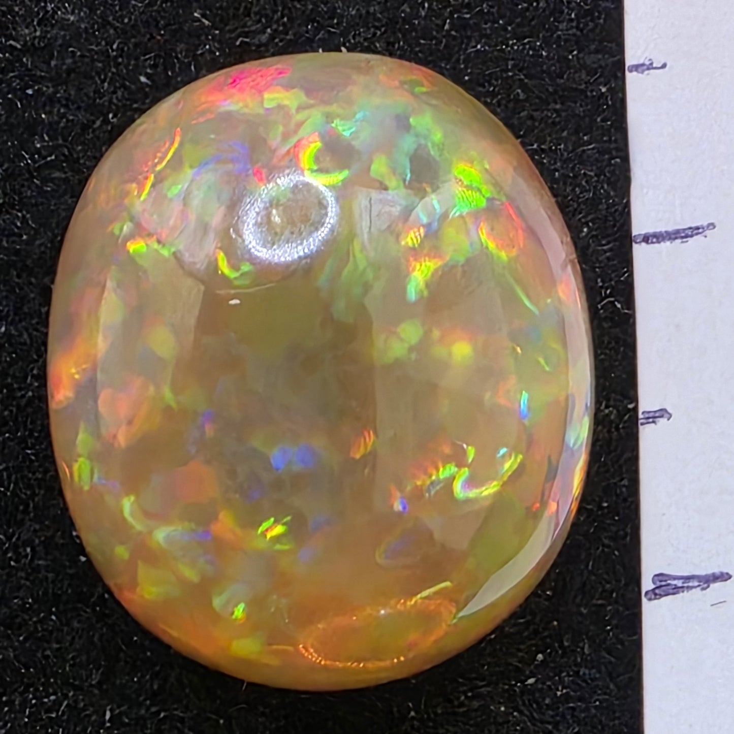 Honey Opal special Ethiopian Welo, 12.55 ct oval polished, natural, intense Play-of-Colour
