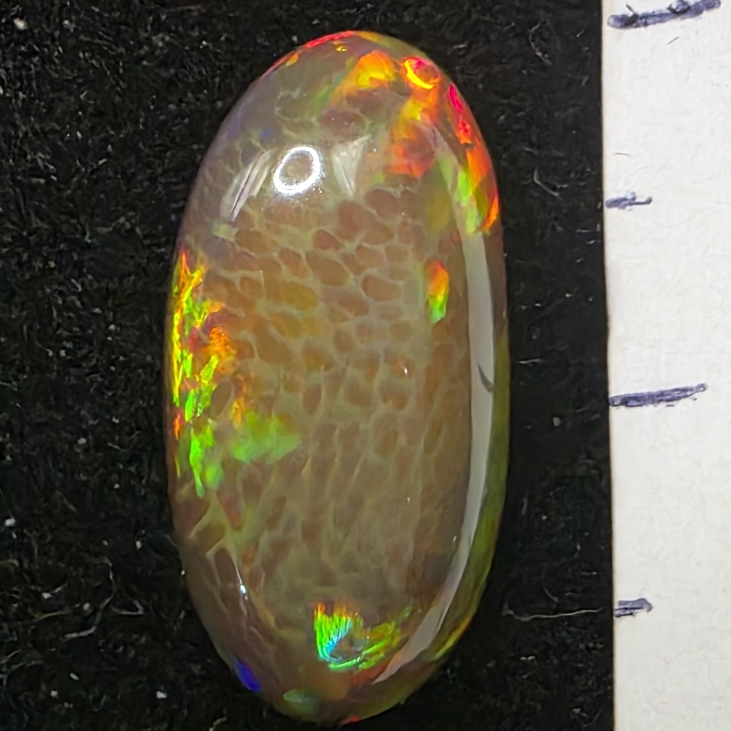 Honeycomb Black Opal special Ethiopian Welo, 5.8 ct oval polished, natural, intense Play-of-Colour