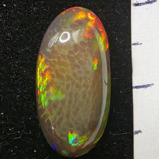 Honeycomb Black Opal special Ethiopian Welo, 5.8 ct oval polished, natural, intense Play-of-Colour