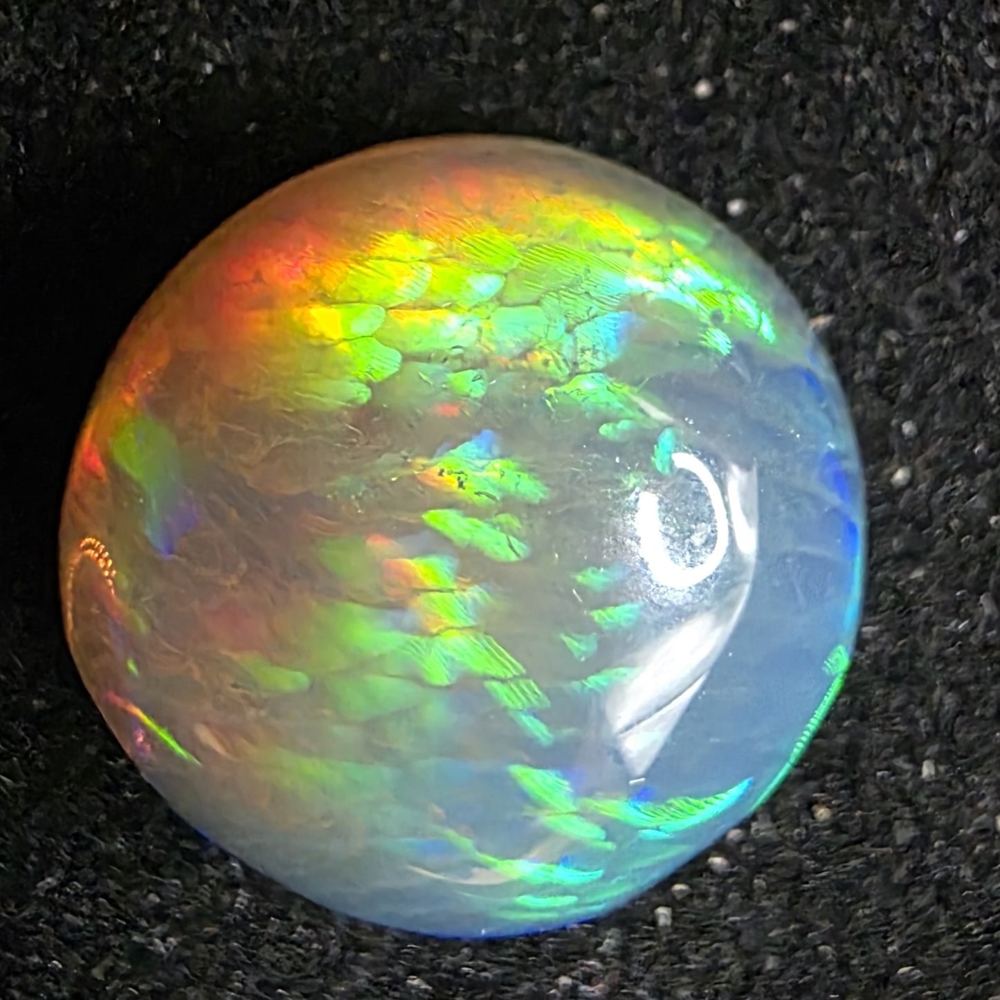 Black Opal special Ethiopian Welo, 5.75 ct round polished, natural, intense Play-of-Colour