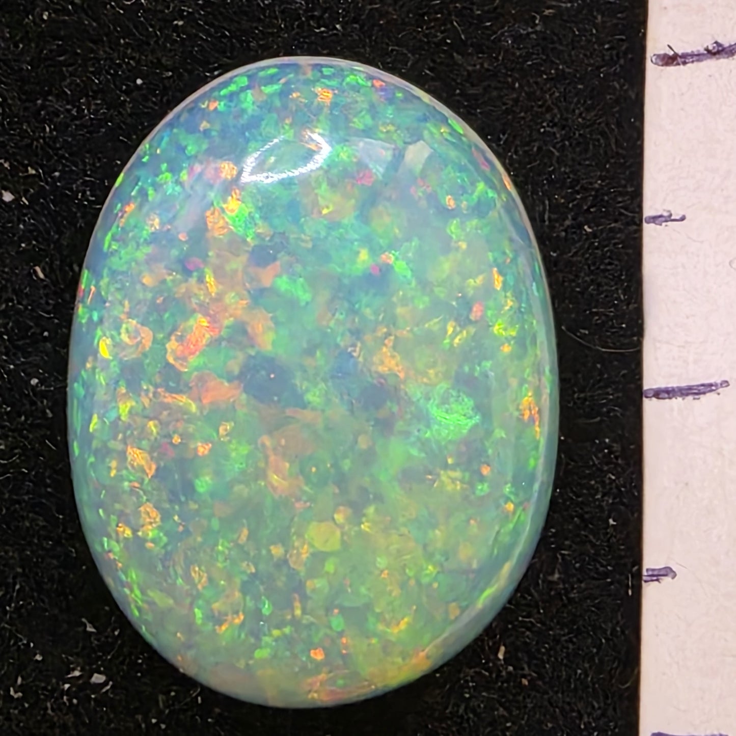 White Opal special Ethiopian Welo, 6.7 ct oval polished, natural, intense Play-of-Colour