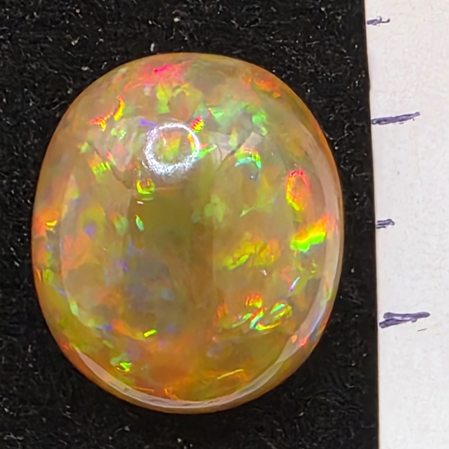 Honey Opal special Ethiopian Welo, 12.55 ct oval polished, natural, intense Play-of-Colour