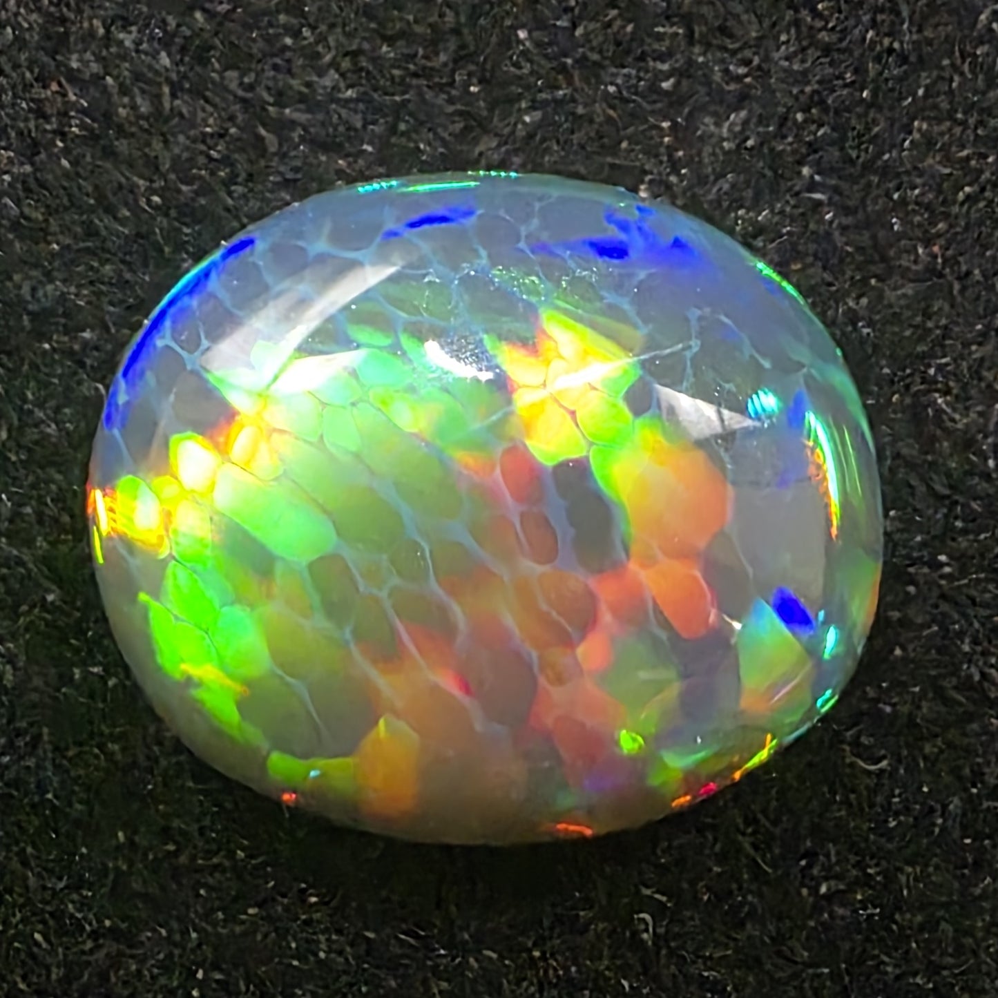 Black Opal special Ethiopian Welo, 6.65 ct oval polished, natural, intense Play-of-Colour