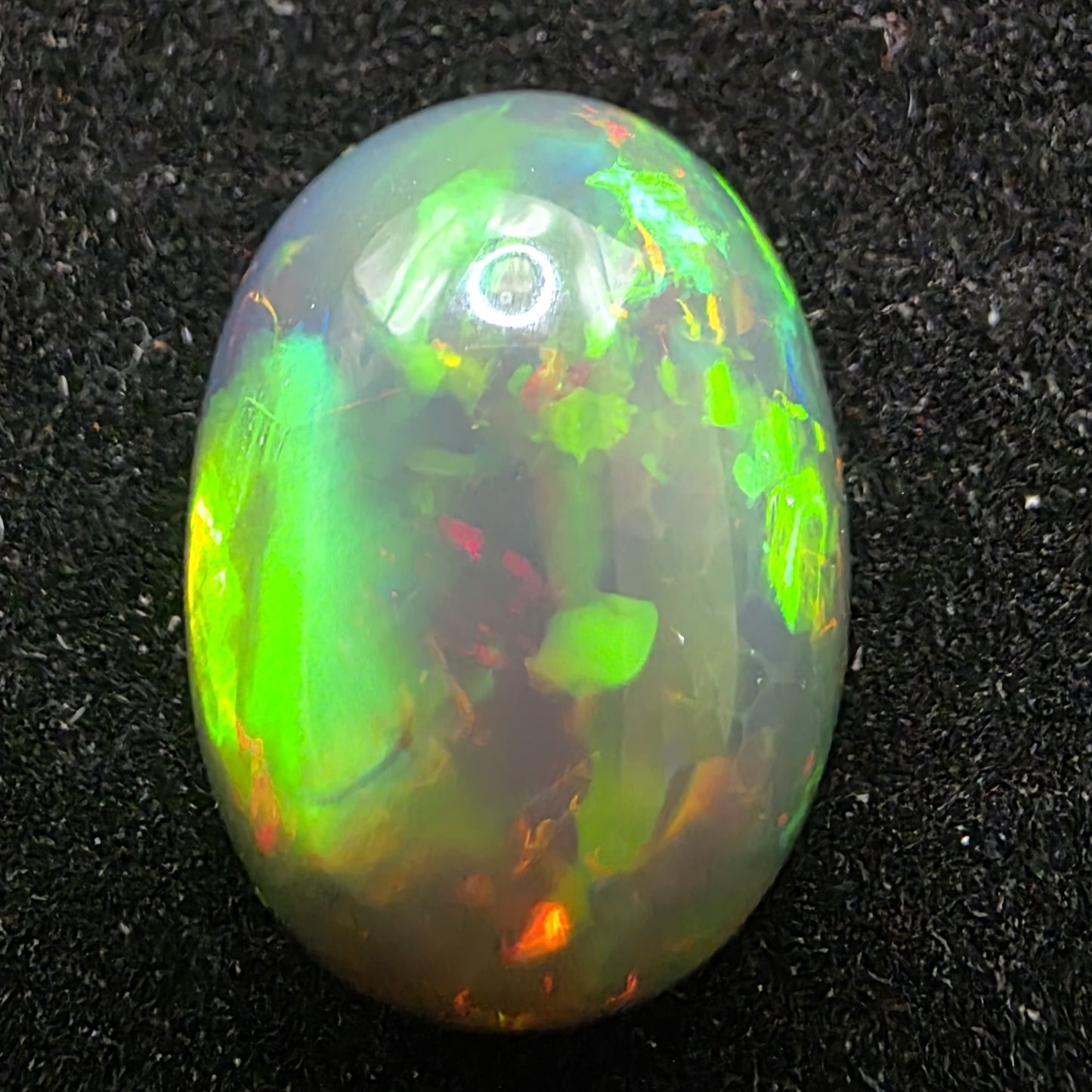 Black Opal special Ethiopian Welo, 10 ct oval polished, natural, intense Play-of-Colour