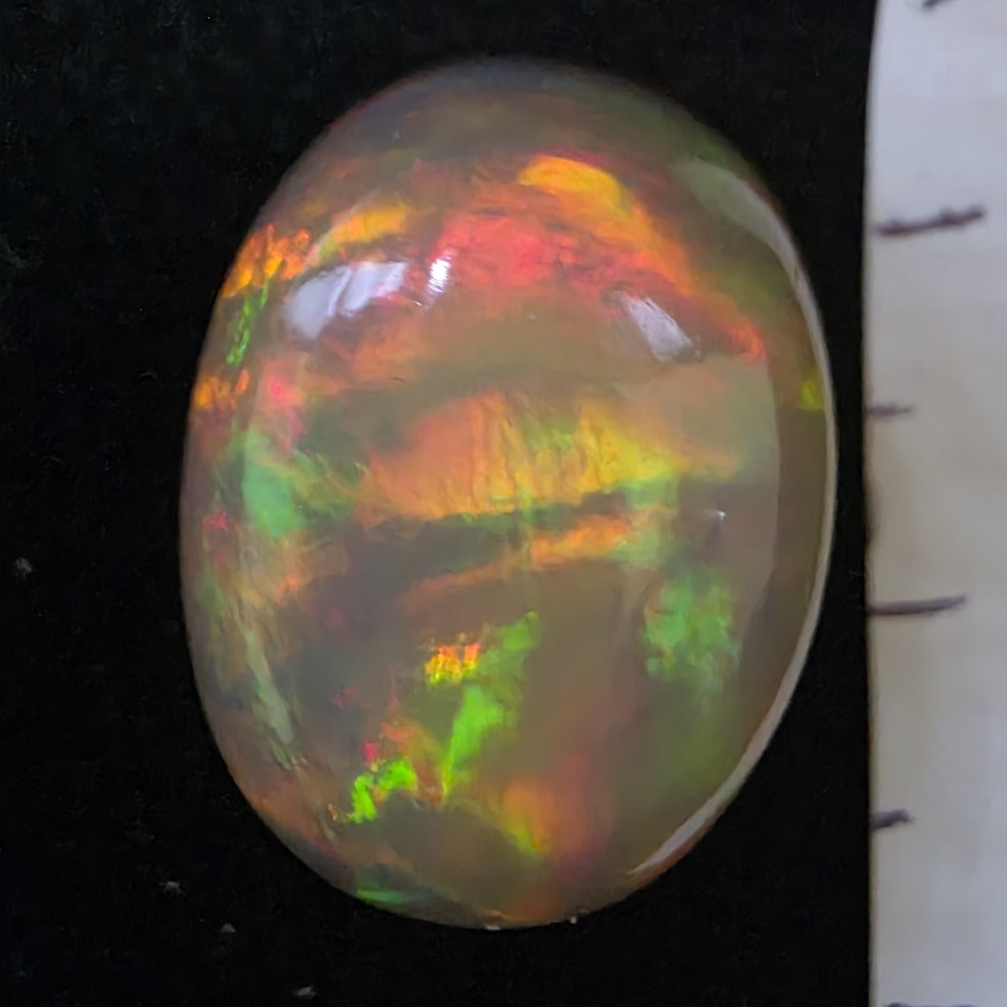 Black Opal special Ethiopian Welo, 21.2 ct oval polished, natural, intense Play-of-Colour