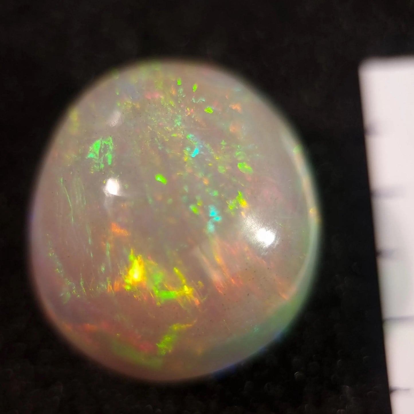 Artsy Black Opal special Ethiopian Welo, 34.2 ct freeform polished, natural