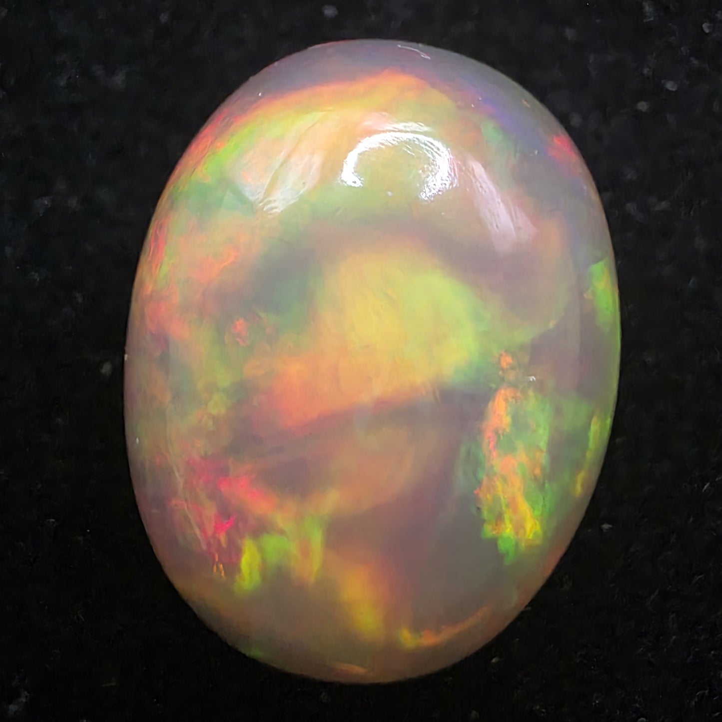 Black Opal special Ethiopian Welo, 21.2 ct oval polished, natural, intense Play-of-Colour